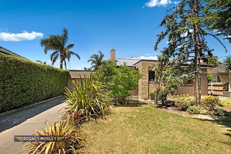 8 Cooke Avenue, Hampton East VIC 3188