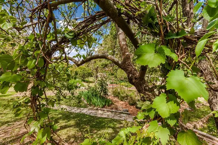 Sixth view of Homely house listing, 57 Glenburnie Road, Vermont VIC 3133