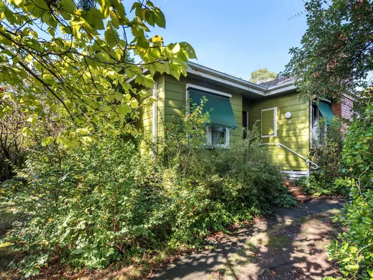 Main view of Homely house listing, 5 Birkby Street, Box Hill North VIC 3129