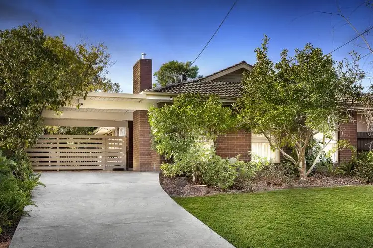 Main view of Homely house listing, 79 Vicki Street, Forest Hill VIC 3131