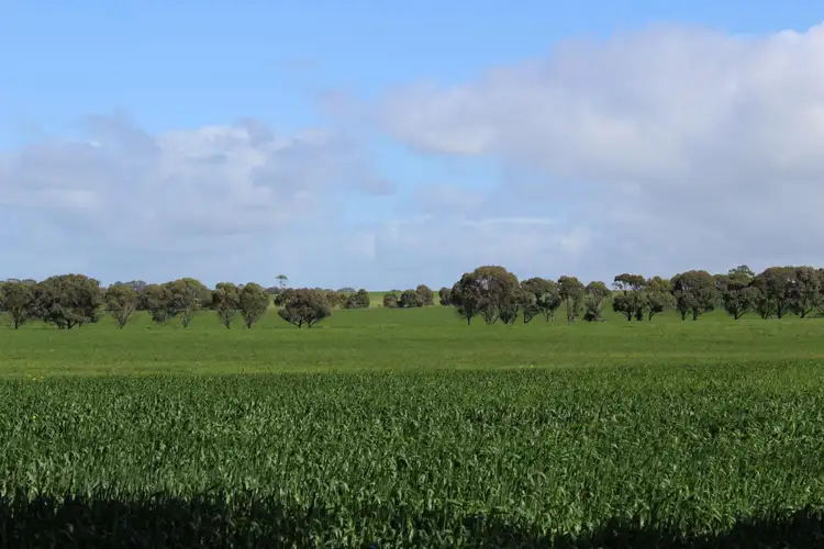 Second view of Homely rural property listing, 216 Astons Road, Nareeb VIC 3293