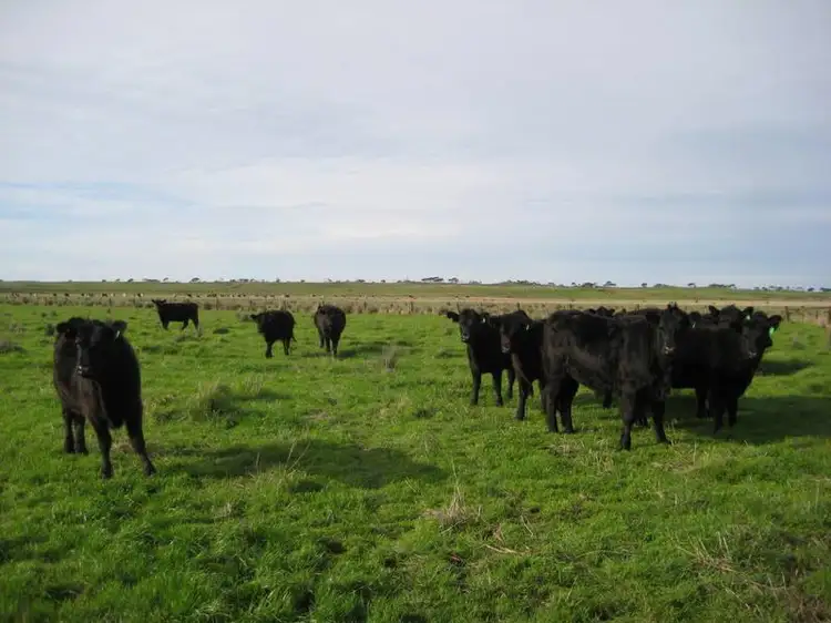 Main view of Homely rural property listing, 410 Gapes Road, Tarrone VIC 3283