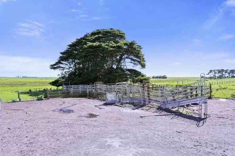 Fourth view of Homely rural property listing, 803 Tarrone North Road, Tarrone VIC 3283