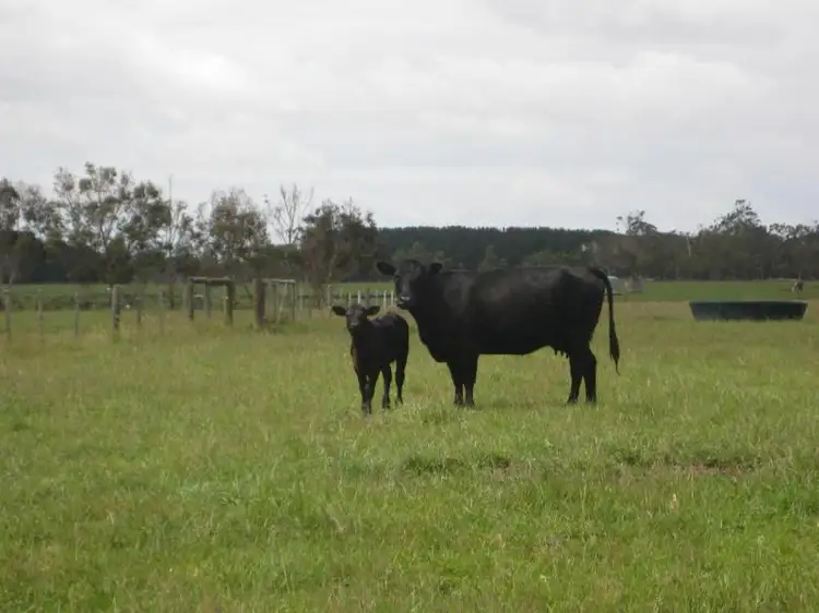 671 Kentbruck Road, Heywood VIC 3304