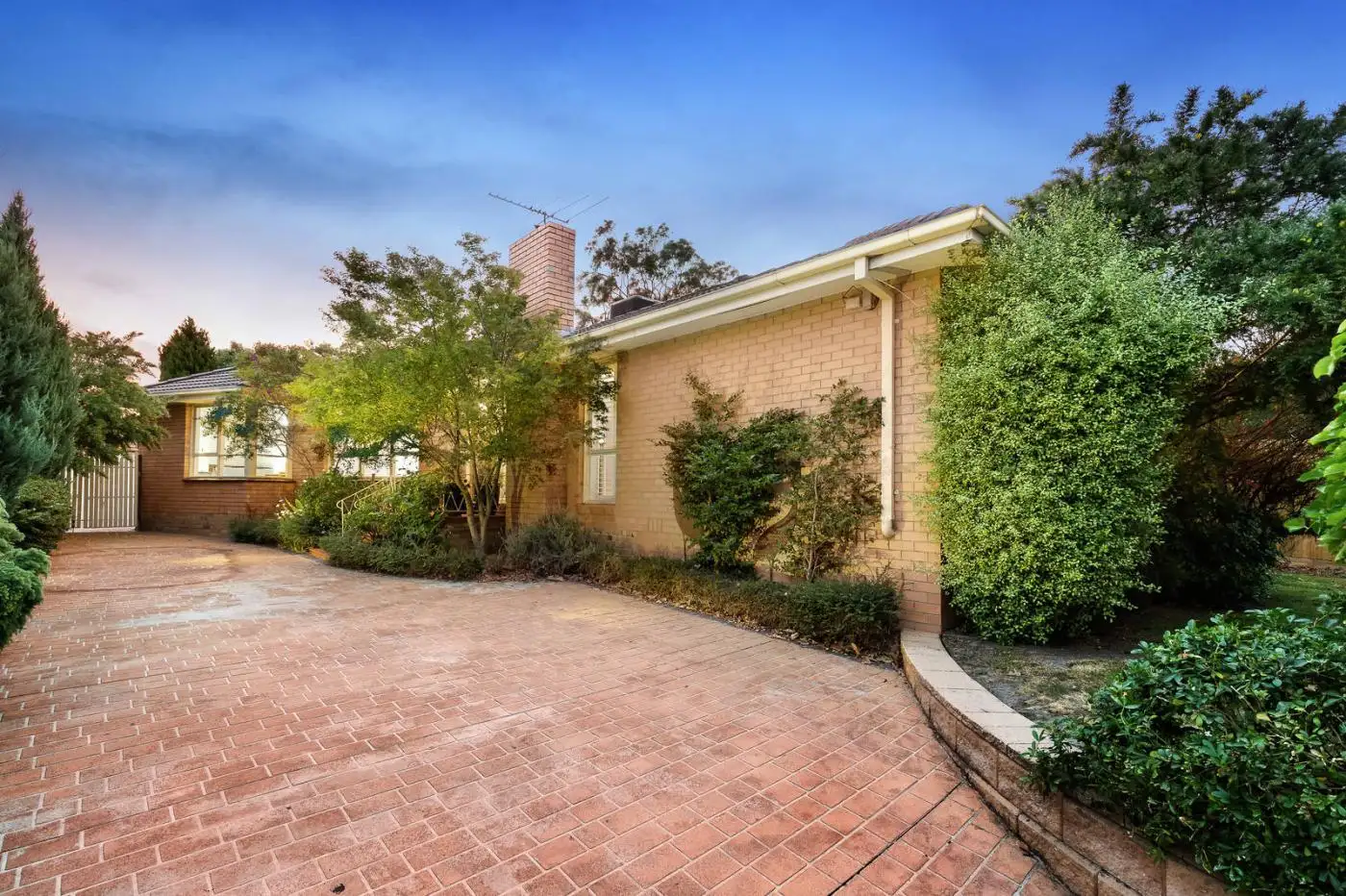 Main view of Homely house listing, 44 Primula Street, Blackburn North VIC 3130
