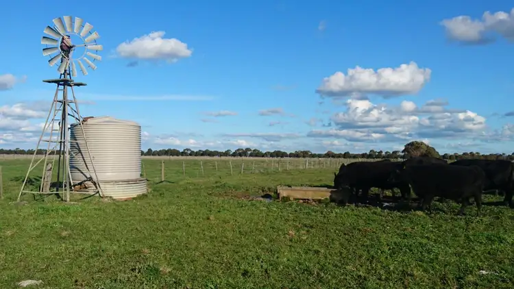 Sixth view of Homely rural property listing, 1200 Pomborneit Foxhow Road, Leslie Manor VIC 3260