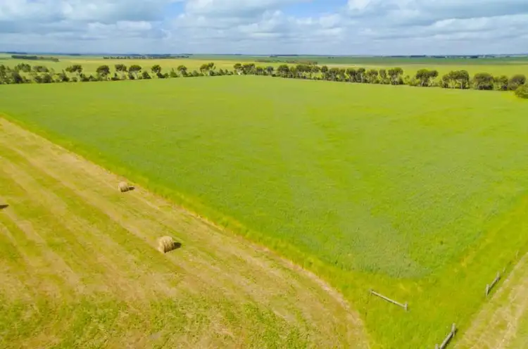Seventh view of Homely rural property listing, 803 Shelford Rokewood Road, Shelford VIC 3329