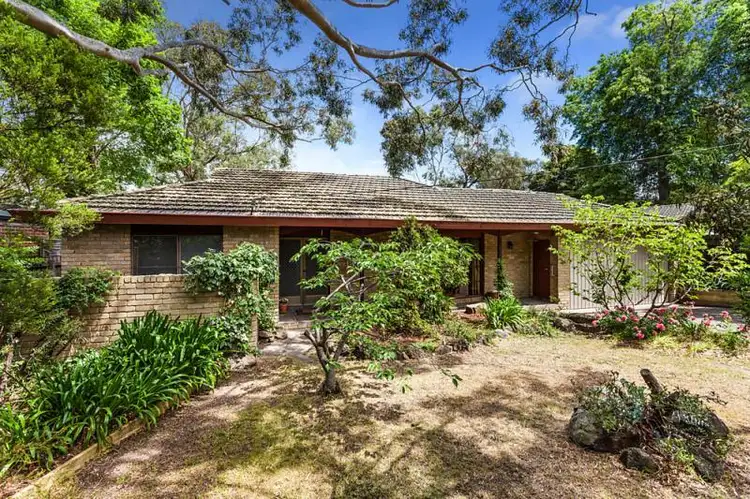 Main view of Homely house listing, 8 Irvine Street, Mitcham VIC 3132