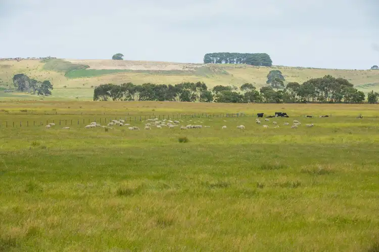 Fourth view of Homely rural property listing, 530 Warrumyea Road, Panmure VIC 3265