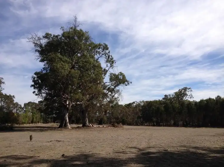 Seventh view of Homely rural property listing, 93 Greys Road, Gringegalgona VIC 3315