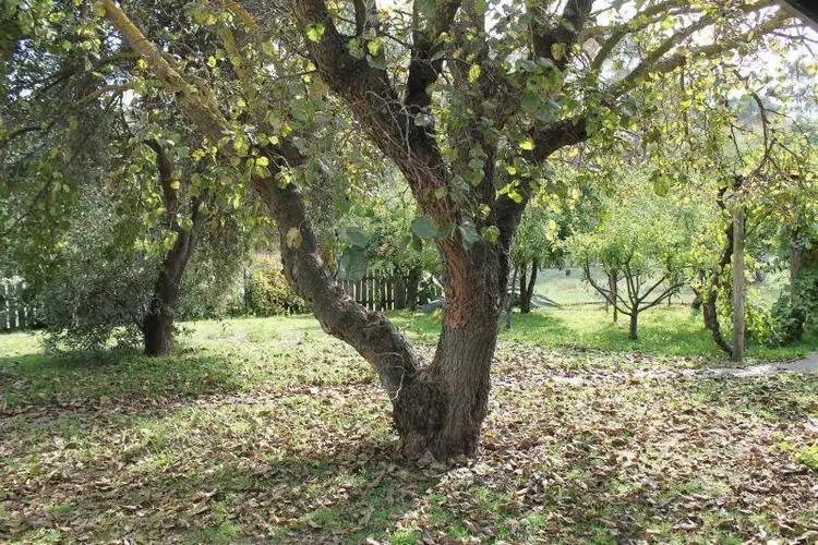 Sixth view of Homely house listing, 252 High Street, Heathcote VIC 3523