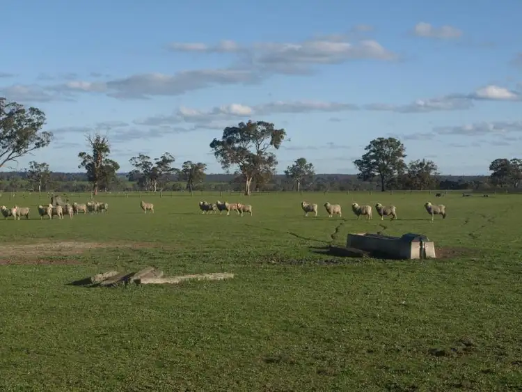 Sixth view of Homely rural property listing, 9150 Nhill Harrow Road, Harrow VIC 3317