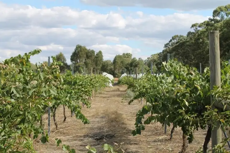 Second view of Homely rural property listing, 300 Old Heathcote Road, Heathcote VIC 3523