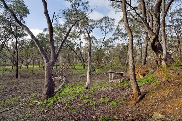 Fifth view of Homely rural property listing, 72 Speciman Gully Road, Barkers Creek VIC 3451