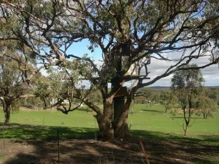 Seventh view of Homely land listing, 42 Codes Lane, Heathcote VIC 3523