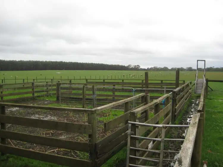 Fifth view of Homely land listing, 100 Cemetery Road, Condah VIC 3303