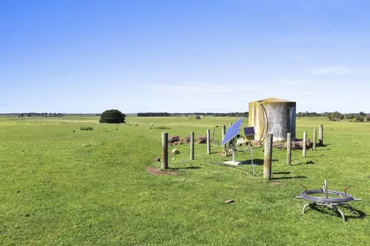 Fifth view of Homely rural property listing, 803 Tarrone North Road, Tarrone VIC 3283