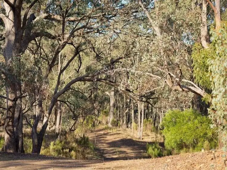 Fifth view of Homely house listing, 77 Pioneers Road, Chewton VIC 3451