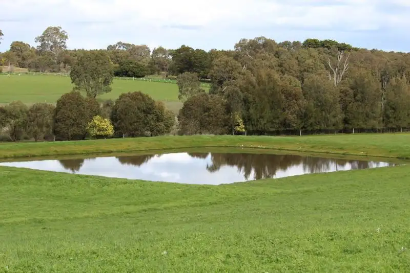 Main view of Homely rural property listing, 333 Springwood Road, Cavendish VIC 3314