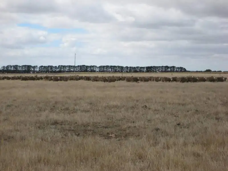 Main view of Homely rural property listing, 4284 Hamilton Chatsworth Road, Nareeb VIC 3293