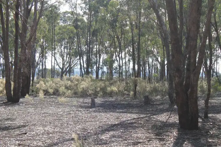 Sixth view of Homely land listing, Lot 1, Part 140 Tait Hamilton Road, Cornella VIC 3551