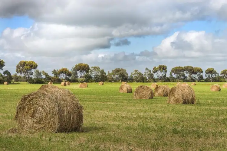Fourth view of Homely rural property listing, 803 Shelford Rokewood Road, Shelford VIC 3329