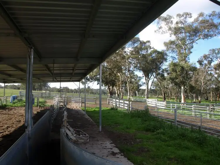 Sixth view of Homely rural property listing, 786 Rocklands Road, Balmoral VIC 3407