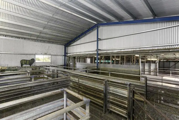 Third view of Homely rural property listing, 70 Glenthompson Road, Caramut VIC 3274