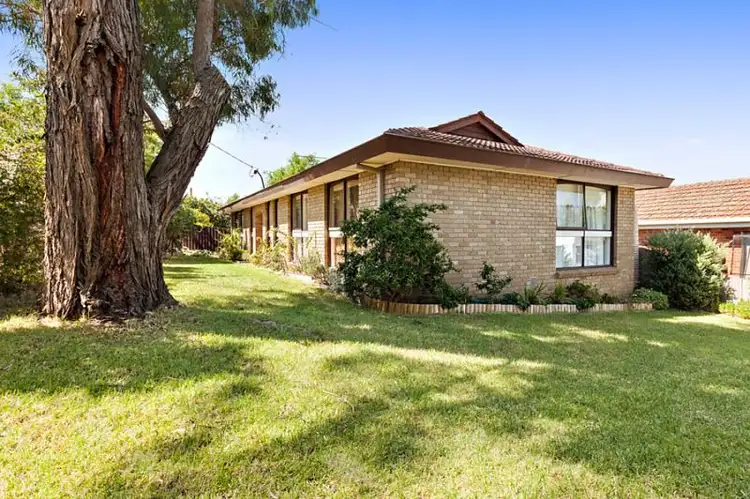 297A Springfield Road, Nunawading VIC 3131