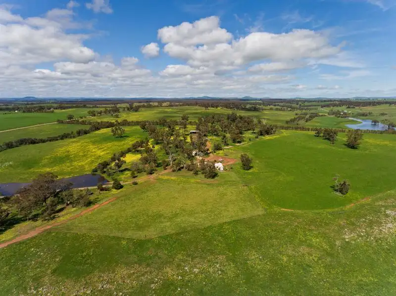 Main view of Homely house listing, 50 Annands Lane, Newstead VIC 3462
