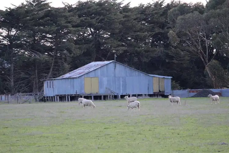 Third view of Homely rural property listing, 4691 Hamilton Highway, Penshurst VIC 3289