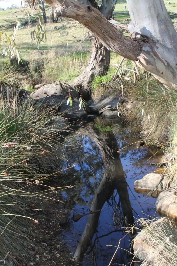 Fourth view of Homely rural property listing, Lot 2, 670 Spring Flat Road, Heathcote VIC 3523