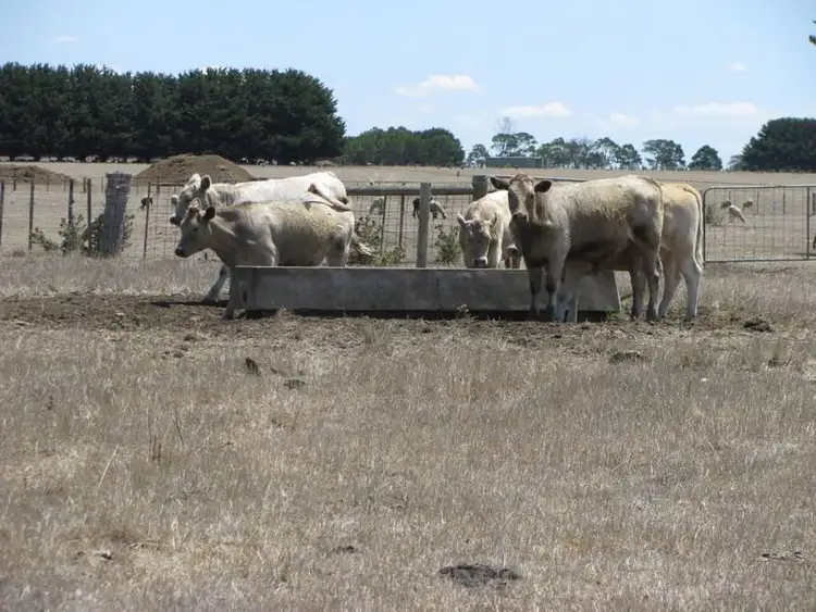 Seventh view of Homely rural property listing, Hexham Road, Grassmere VIC 3281