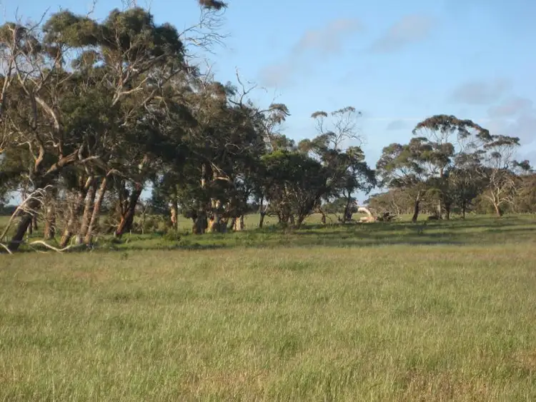 Fifth view of Homely rural property listing, 1 Badhams Road, Toolong VIC 3285