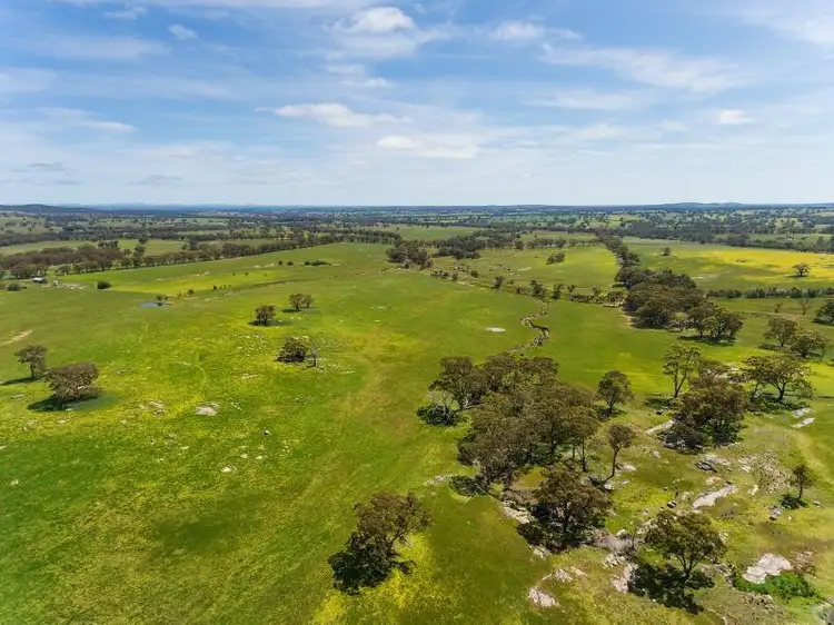 Fifth view of Homely rural property listing, Nuggetty Road, Maldon VIC 3463
