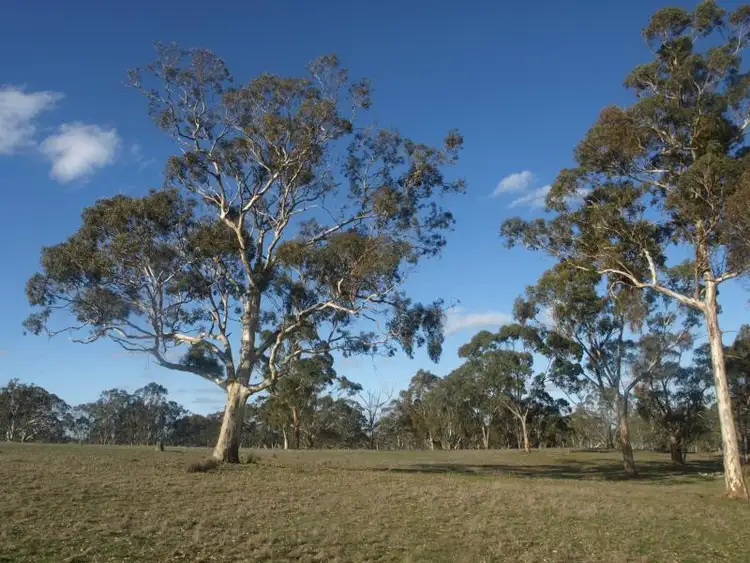 Fourth view of Homely rural property listing, 9150 Nhill Harrow Road, Harrow VIC 3317
