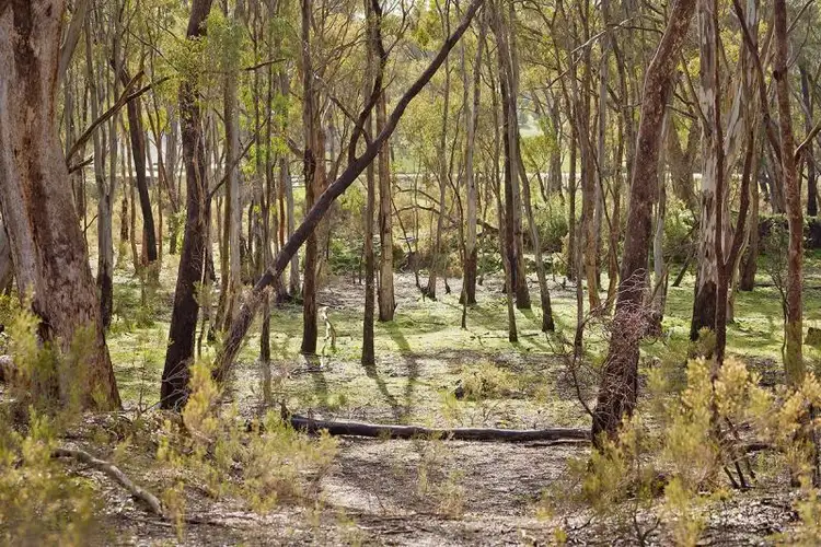 Third view of Homely rural property listing, 72 Speciman Gully Road, Barkers Creek VIC 3451