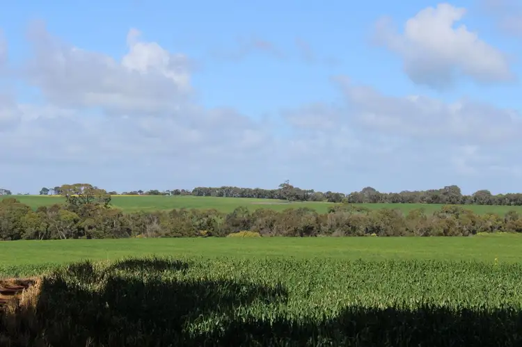 Third view of Homely rural property listing, 216 Astons Road, Nareeb VIC 3293