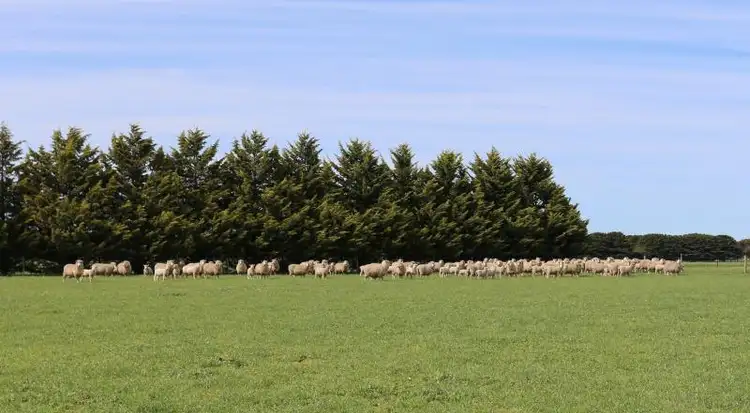 Fifth view of Homely rural property listing, 70 Glenthompson Road, Caramut VIC 3274