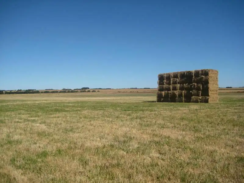 Main view of Homely rural property listing, Hutchins & Glengleeson West Road, Macarthur VIC 3286