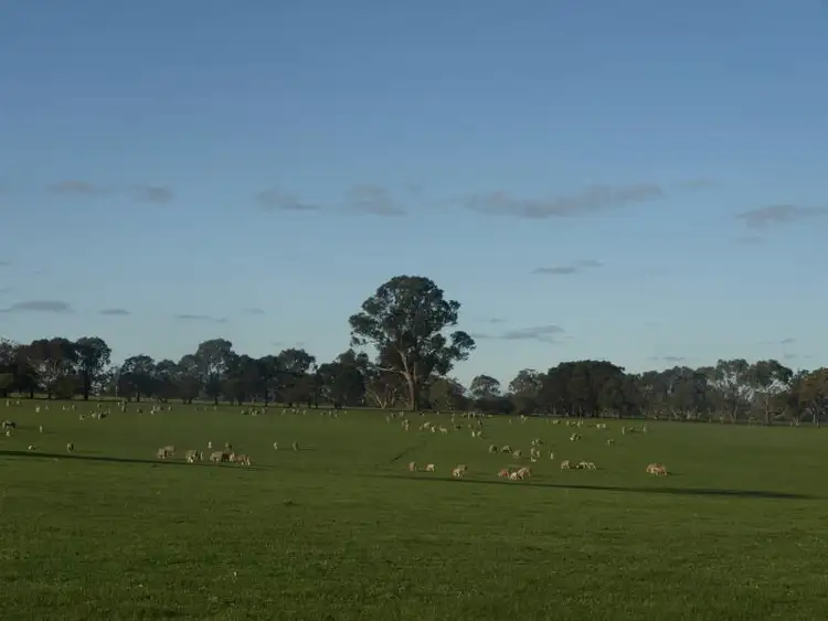 Seventh view of Homely rural property listing, 9150 Nhill Harrow Road, Harrow VIC 3317