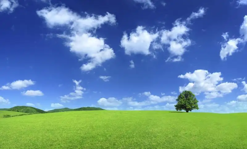 Main view of Homely land listing, 246 Howe Street, Miners Rest VIC 3352