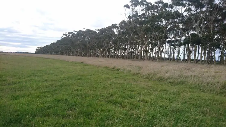 Fifth view of Homely rural property listing, 290 Milangil Estate Road, Kariah VIC 3260