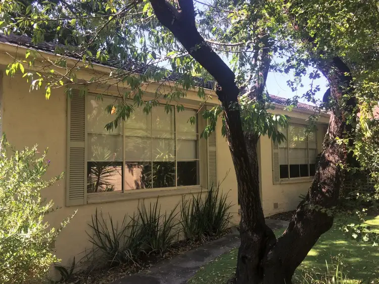 Main view of Homely unit listing, 1/27a Laburnum Street, Blackburn VIC 3130