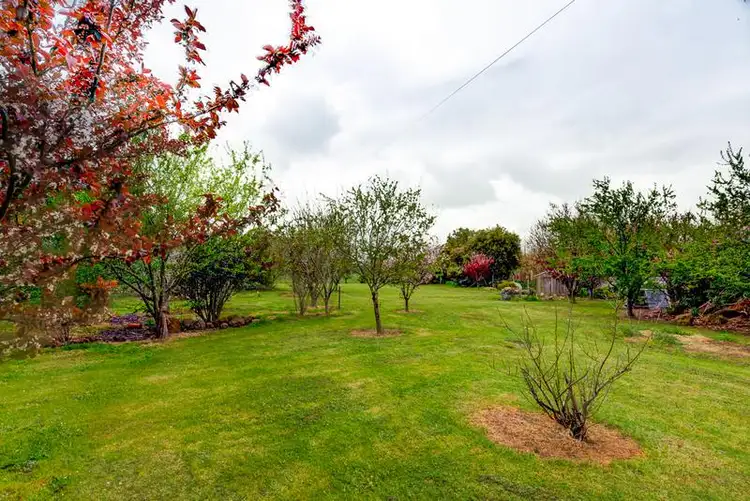 Sixth view of Homely rural property listing, 245 Bostocks Road, Woolsthorpe VIC 3276