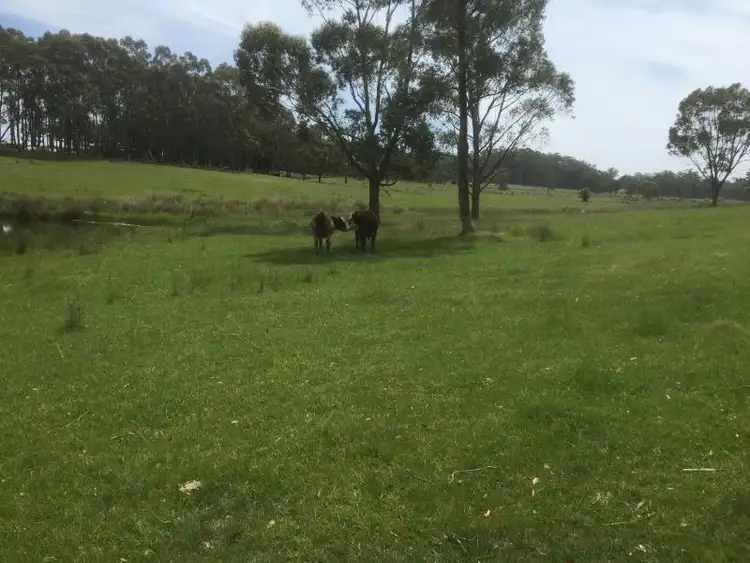 Fourth view of Homely rural property listing, Lot 6 Ballan Daylesford Road, Korweinguboora VIC 3461
