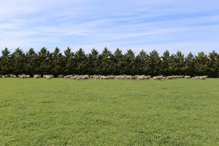 Second view of Homely rural property listing, 70 Glenthompson Road, Caramut VIC 3274