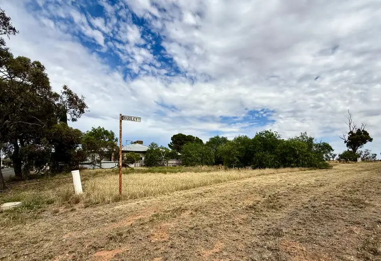 Main view of Homely land listing, 25 Brook Street, Woomelang VIC 3485