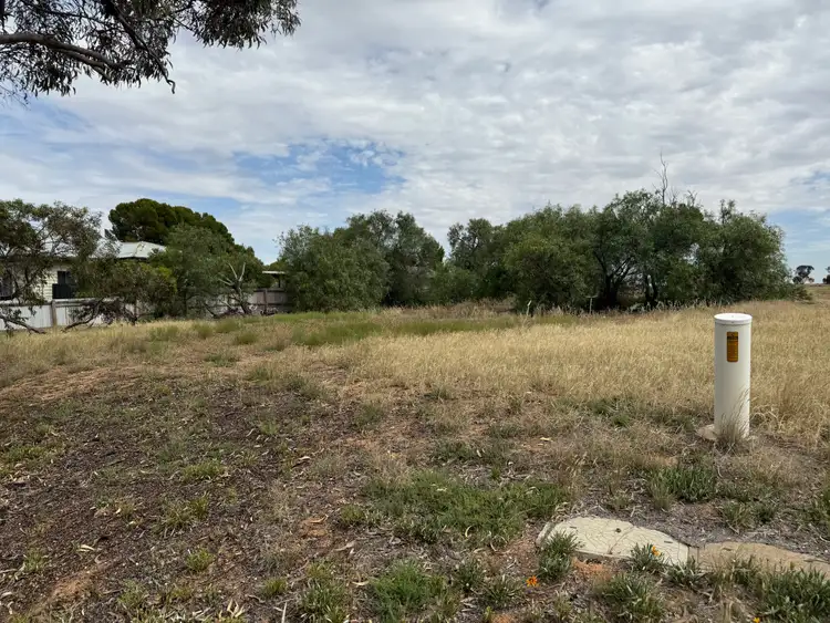 25 Brook Street, Woomelang VIC 3485