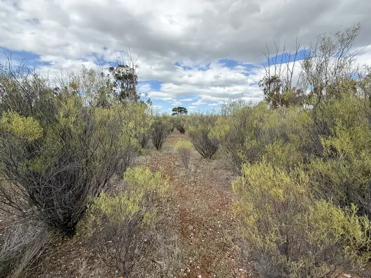 Fifth view of Homely land listing, Lot 13 Lascelles, Rosebery VIC 3395
